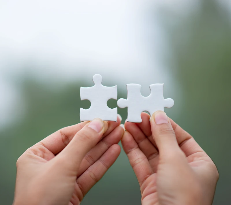 ידיים מחזיקות חלקי פאזל